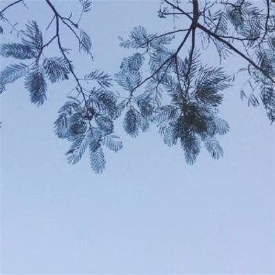 轩辕乾坤公益服下载